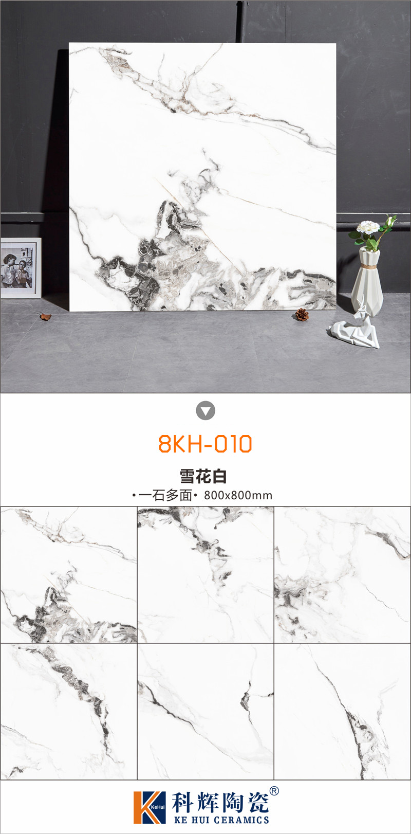 8710彩图.jpg