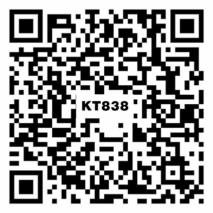 KT838加州米黄