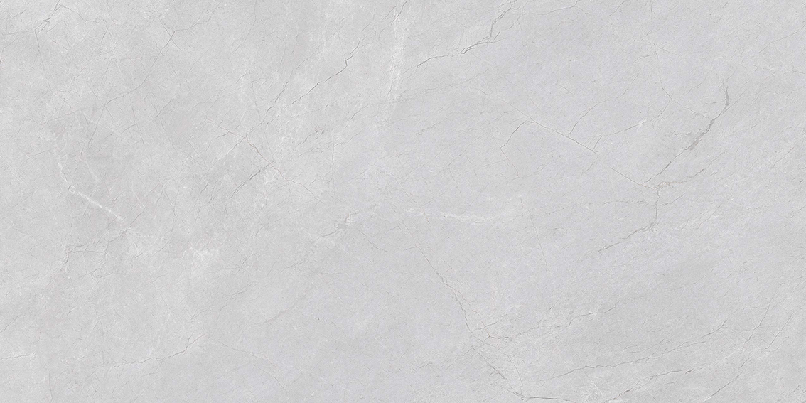 CK48306小米灰