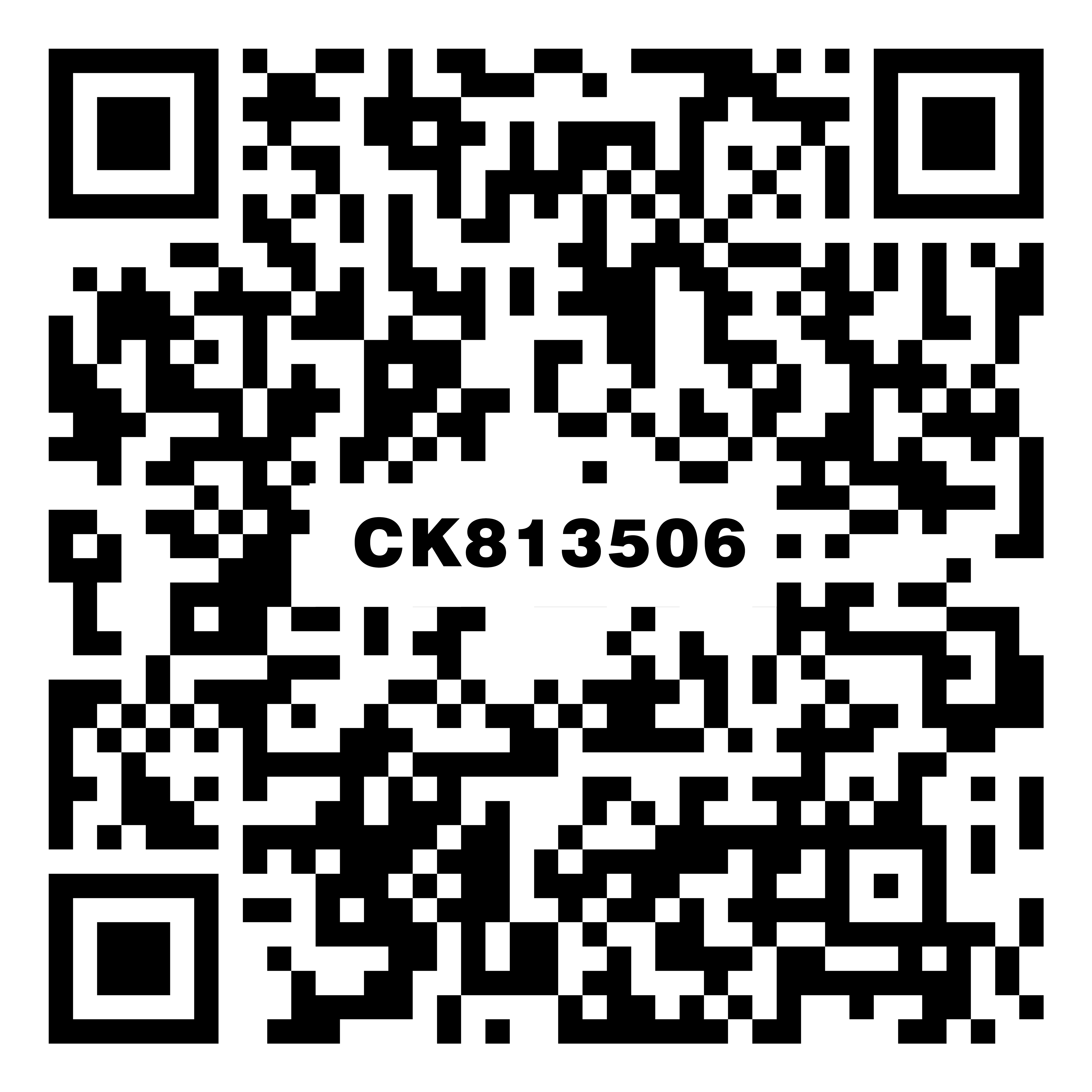 CK813506小米灰