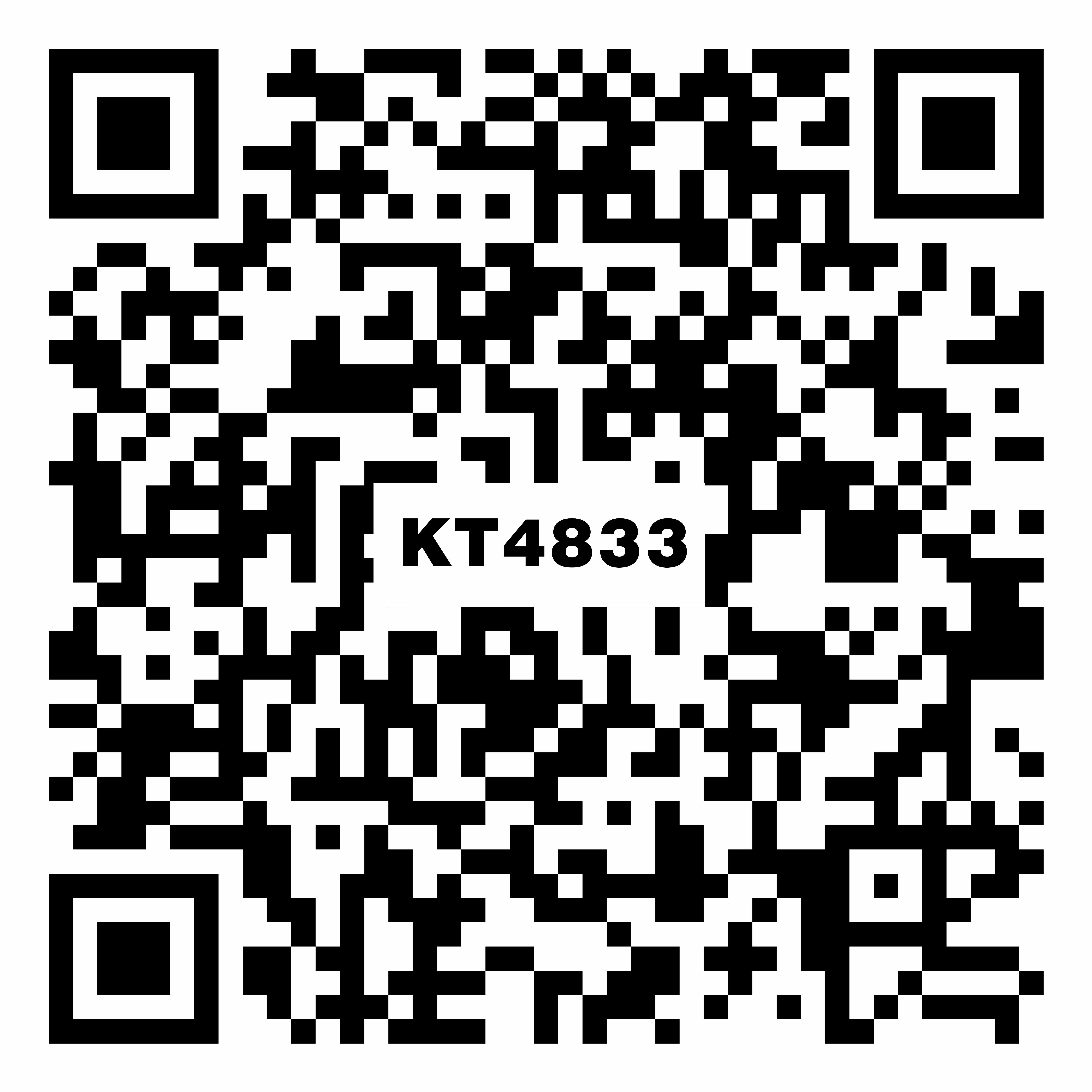 KT4833斯巴达灰